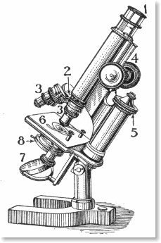 tn_microscope